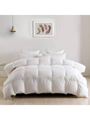 RELLENO NÓRDICO JAPARA-350