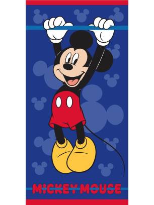 TOALLA DE PLAYA LICENCIAS